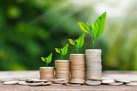 Breaking Barriers: How Tnest SACCO Secures and Simplifies Your Financial Future